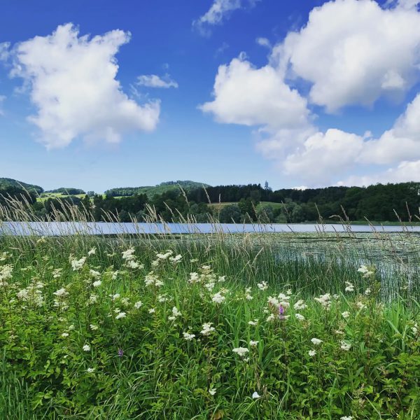 Lac de Bret