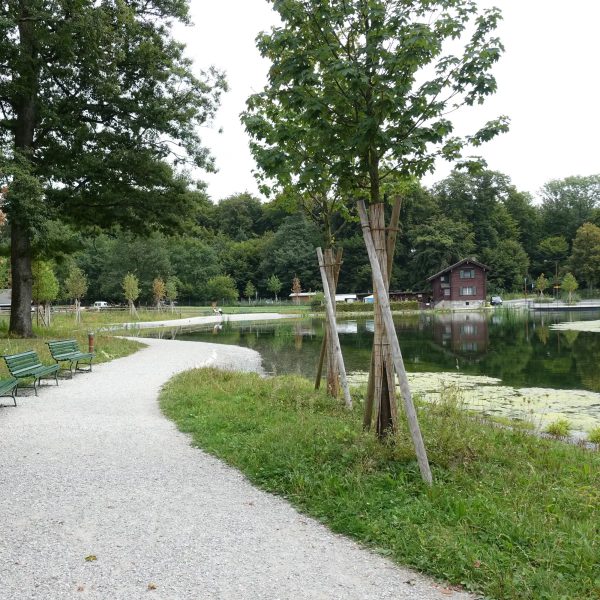 Lac de Sauvabelin
